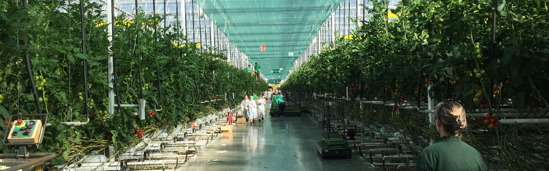 Betriebserkundung der 7. und 8. Klassen bei Firma Steiner